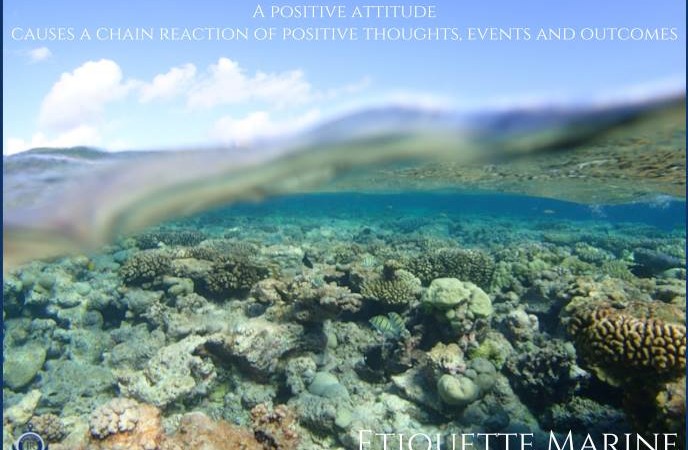 Positivity